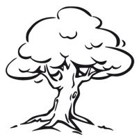 Baum