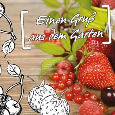 Gartenzeit