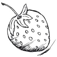 Erdbeere